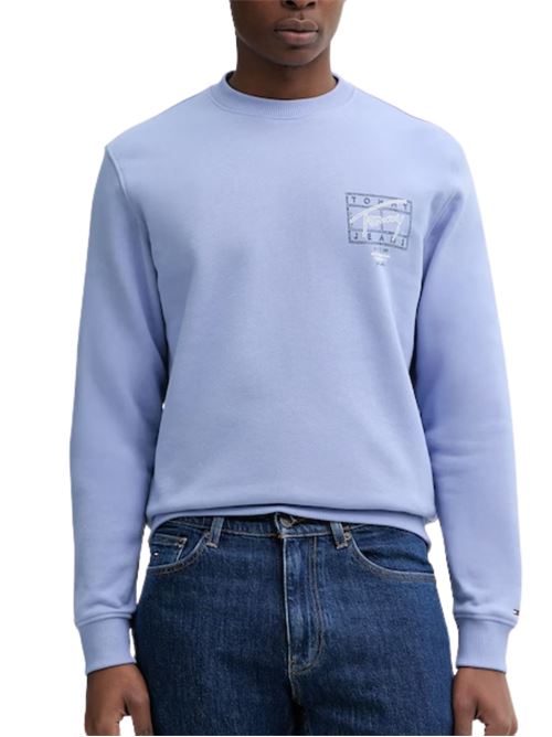 Felpa girocollo con grafica sul retro Tommy Jeans | DM0DM22366C5X